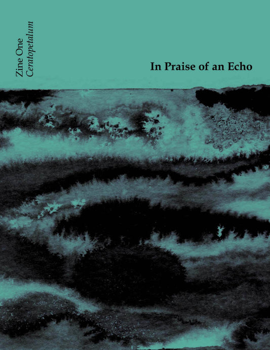 In Praise of an Echo Zine 1