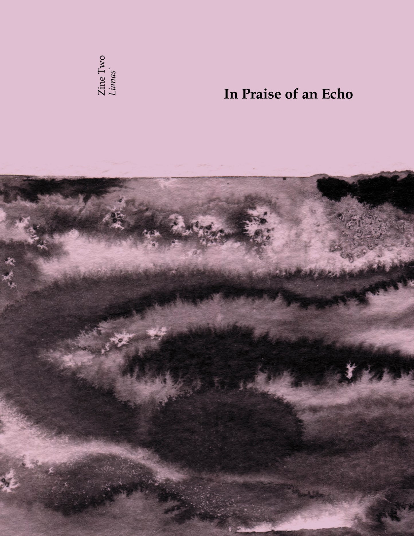 In Praise of an Echo Zine 2