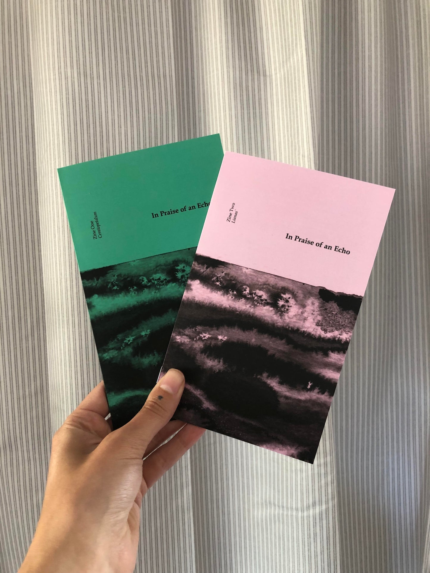 In Praise of an Echo Zine 2